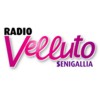 RADIO VELLUTO SENIGALLIA - RADIO SENIGALLIA S.R.L.